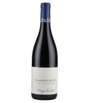 Chambolle Musigny