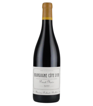 Bourgogne Cote D'Or "Pinot Noir" 2022