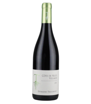 Cote De Nuits Villages 2021