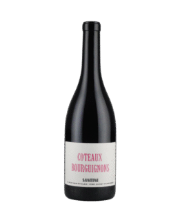 AOP Coteaux Bourguignons Rouge
