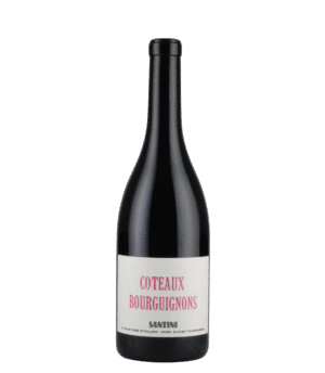 AOP Coteaux Bourguignons Rouge