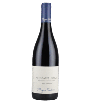 Nuits Saint Georges Les Topons
