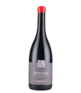 Bourgogne Pinot Noir